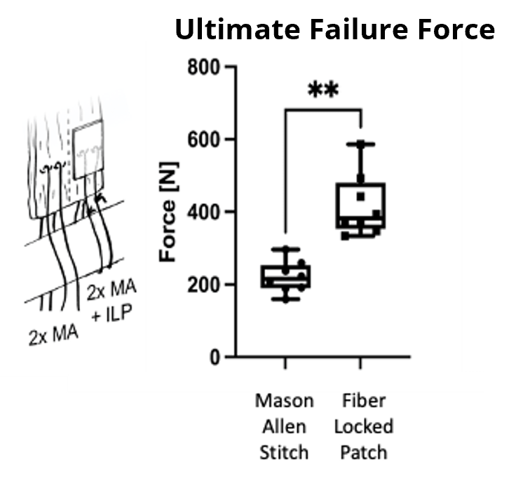 Graph5